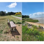 Localement vôtre "Fête de la nature" à Paimboeuf