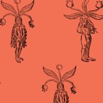 Le Bruit du Frigo " Katell" de Céline du Chéné et Laurent Paulré
